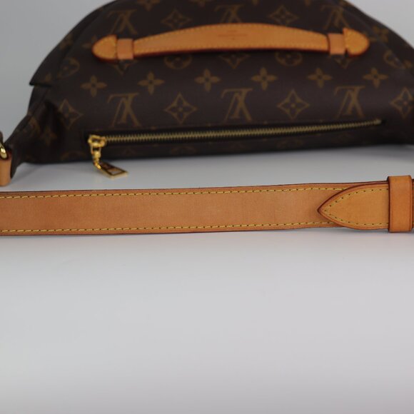 Louis Vuitton Monogram Bumbag - Picture 6 of 16